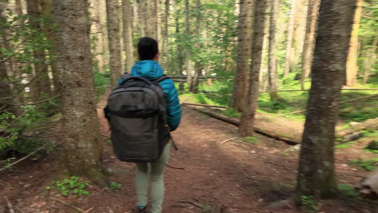 mujer caminando con una mochila de senderismo en el bosque verde de primavera