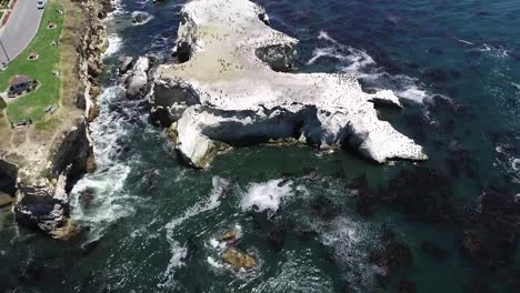 aerial shot of birds on a rock at beach