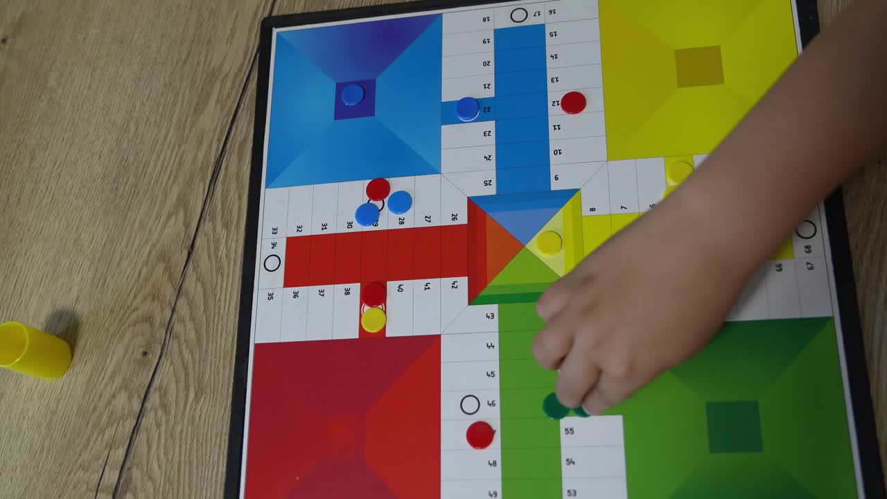 Gioco da tavolo Ludo