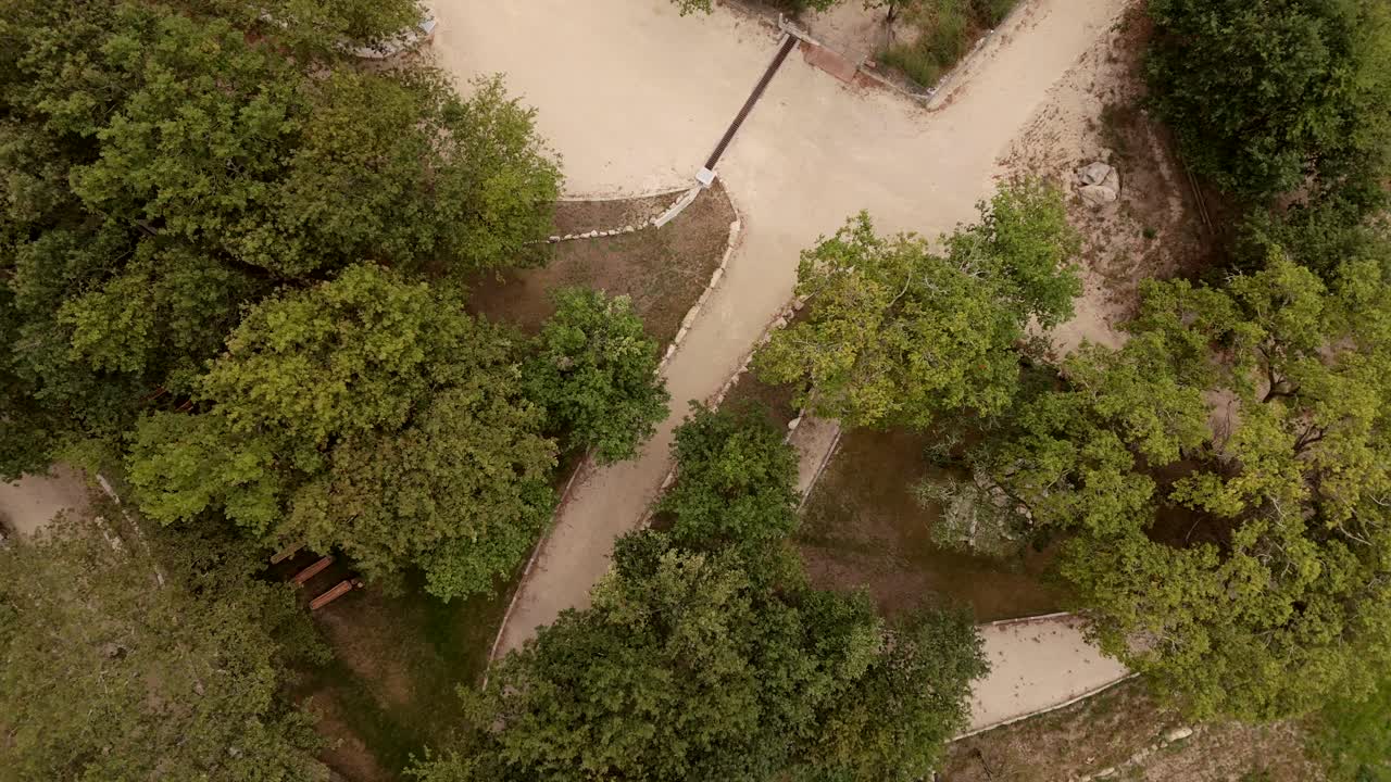 Aerial view of intersecting dirt tracks surrounded by dense trees in a forested area