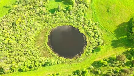 aerial flight from top bottom over an small lake with perfectly round shape.