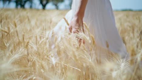 una chica de campo camina por un campo de trigo, el sol se acercó. una mujer de vestido blanco tocando el centeno.