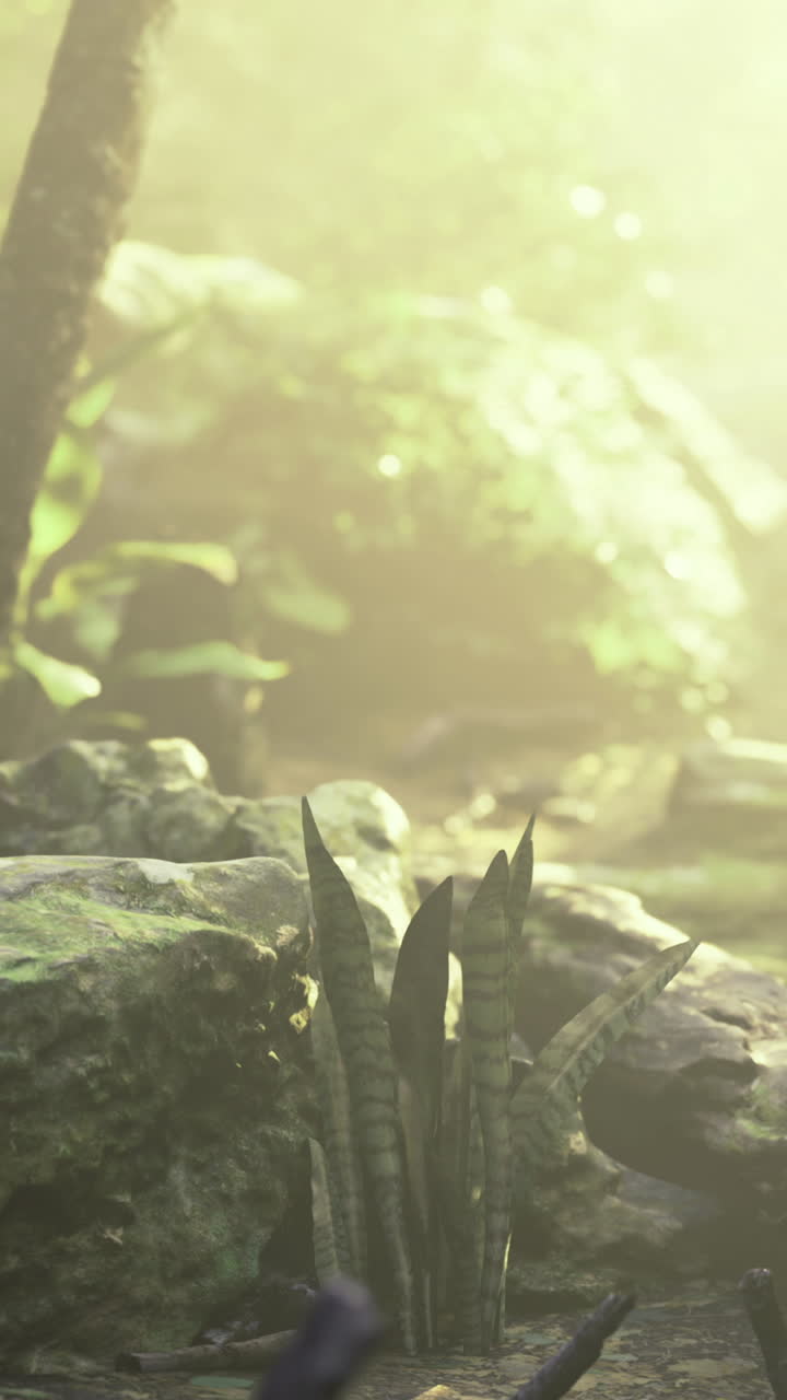 Sunlight streams through the trees illuminating a peaceful forest clearing