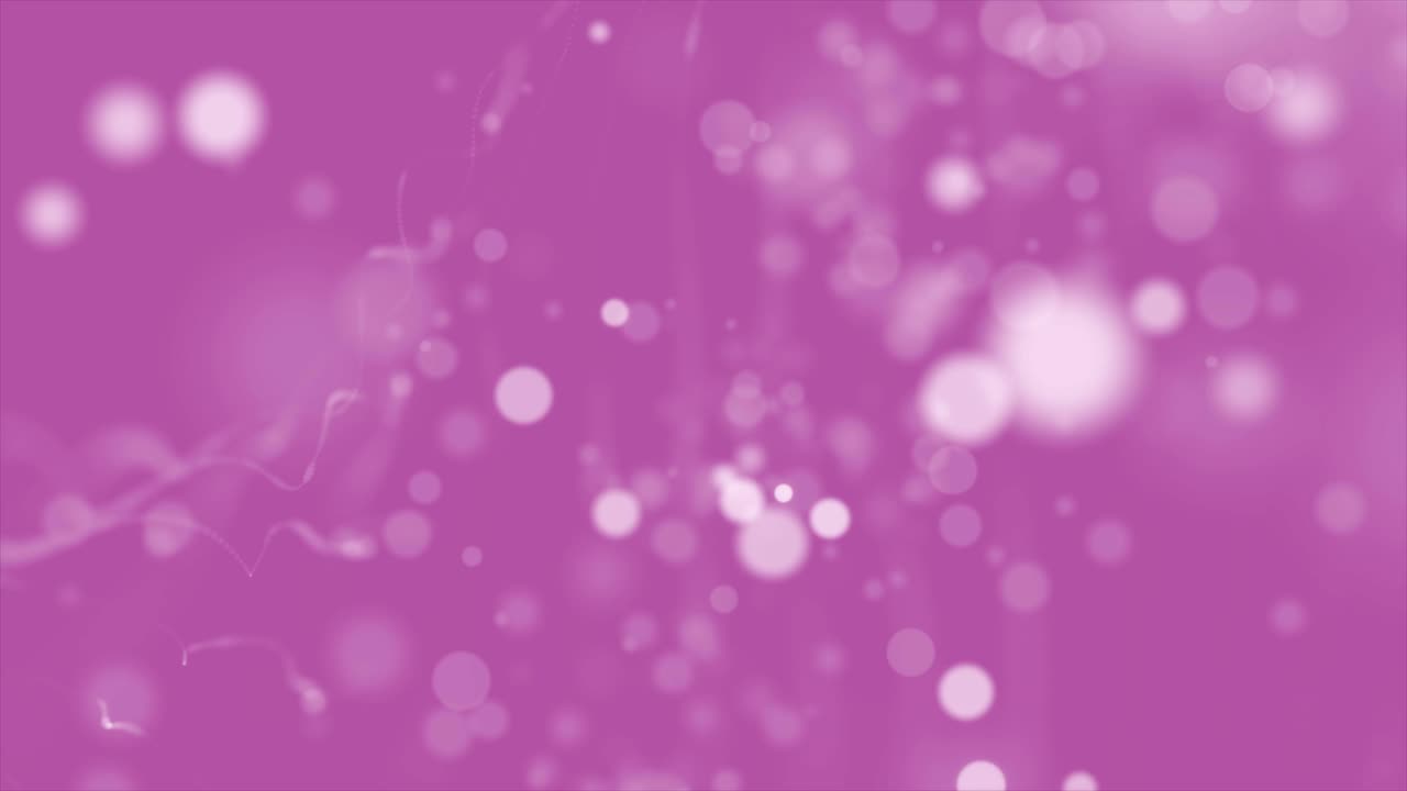 페이 배경 형태 t