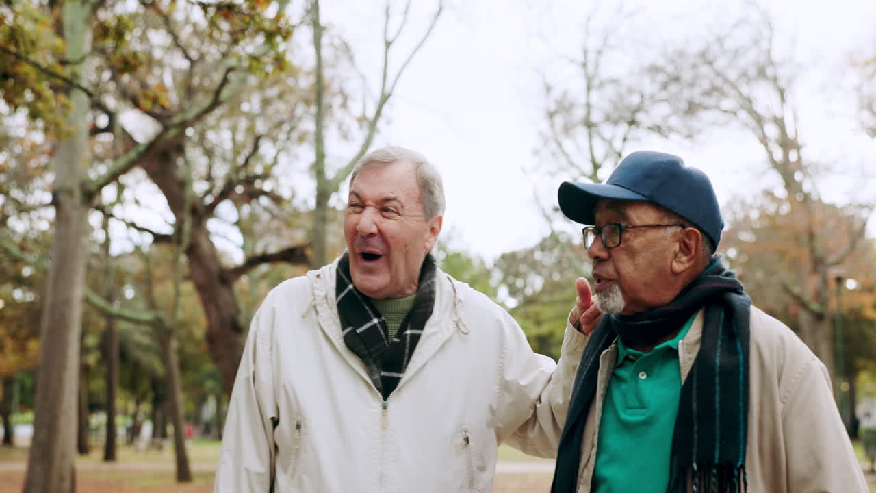 Nature, talking and senior men walking