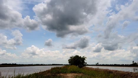 Rice-Paddy-Fields,-clouds,-and-Bird-Silhouetes