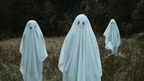 three kids dressed up as ghosts celebrating halloween white ghost in grass field