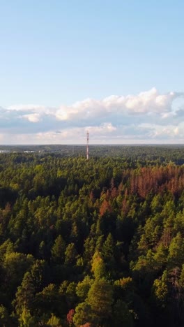 vertical drone shot of a green forest with a tv, radio tower in the middle, clouds in the horizon, copy space, slow motion