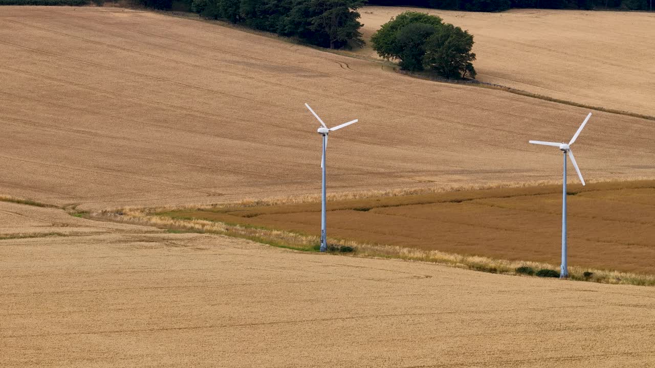 Two wind turbines slowly rotate in a sunlit wheat field, surrounded by rolling hills and trees. Static wide shot with natural daylight