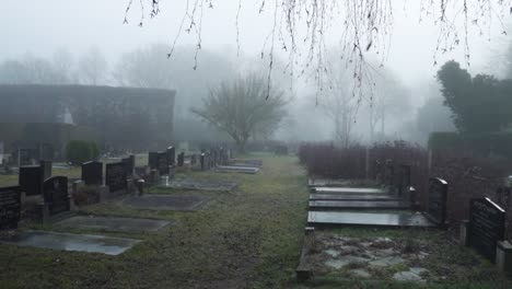 misty cemetery landscape