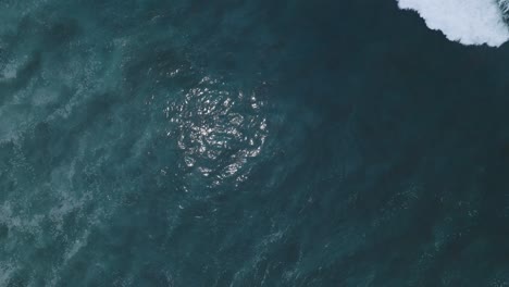 vista aérea de arriba hacia abajo de drones de la acción de las olas en el sunzal el salvador