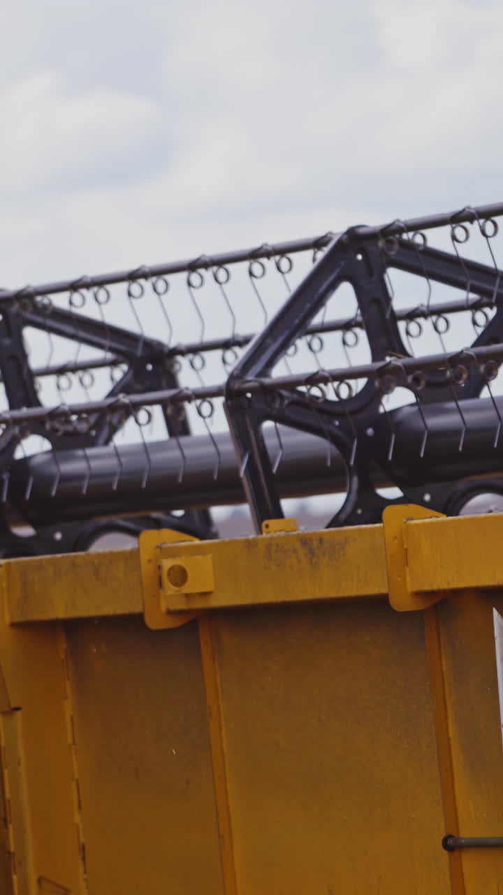 Combine harvests wheat on field. Combine harvester machine harvesting ripe wheat crops Vertical video