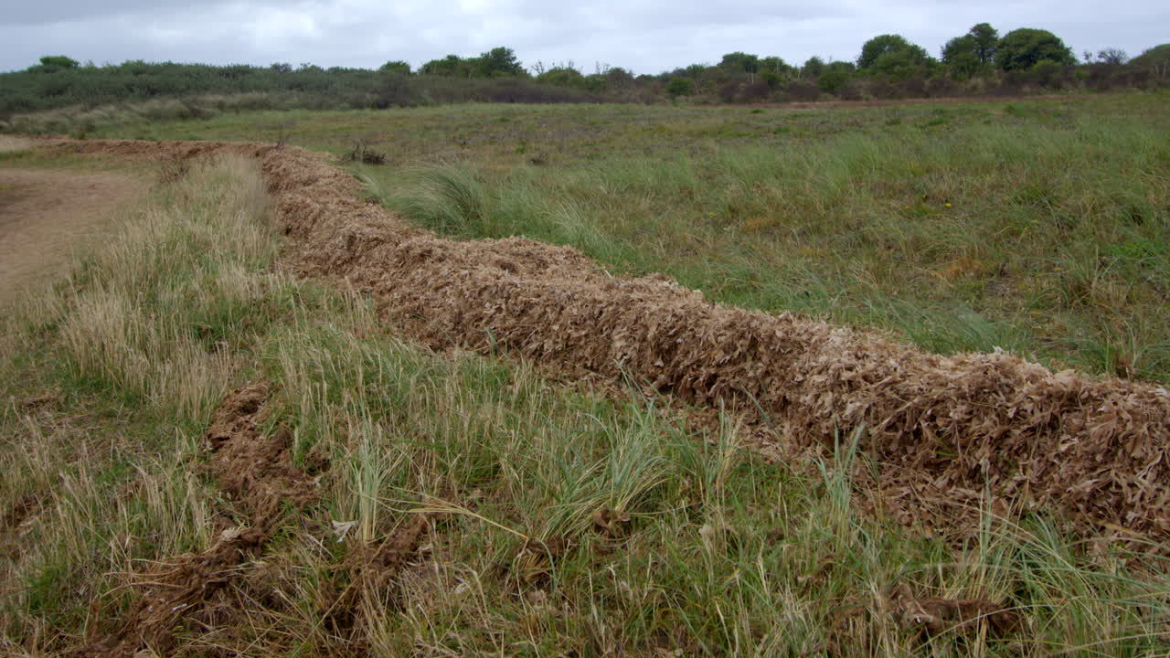 algas marinas acumuladas en la marea alta en theddlethorpe, dunas, reserva natural nacional en saltfleetby
