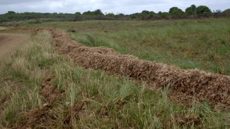 mid-shot-of-tidal-debris-seaweed-built-up-at-high-watermark-high-tide-at-Theddlethorpe,-Dunes,-National-Nature-Reserve-at-Saltfleetby