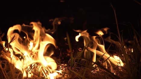 野火在夜晚發生