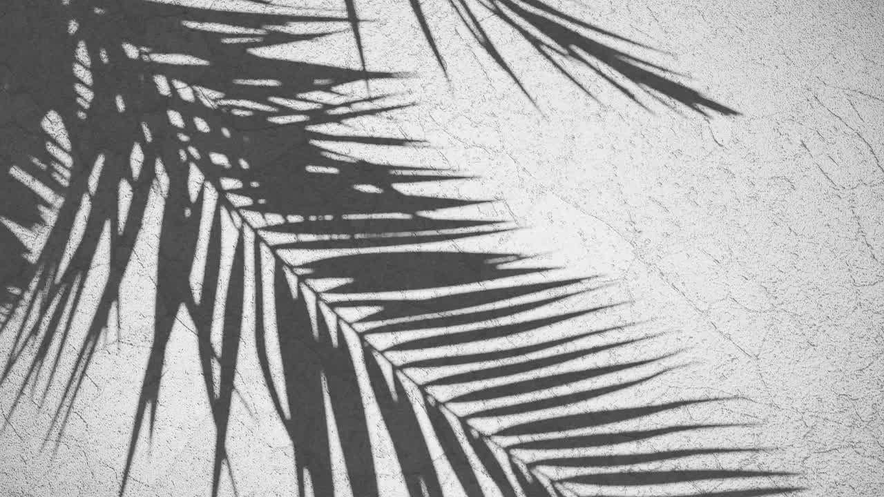 Shadow of Palm Leaves on a Textured Light Grey Wall