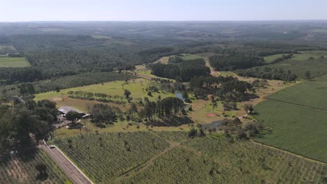 Höhen--Und-Verfolgungsluftbewegungen-über-Dem-örtlichen-Golfclub-Und-Den-Grünen-Teefeldern,-Argentinien