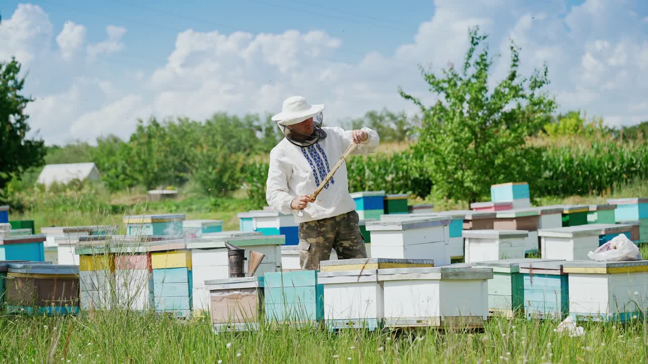 Beekeeper is working with bees and beehives on the apiary. Bees on honeycomb. Frames of a bee hive. Beekeeping. Honey.