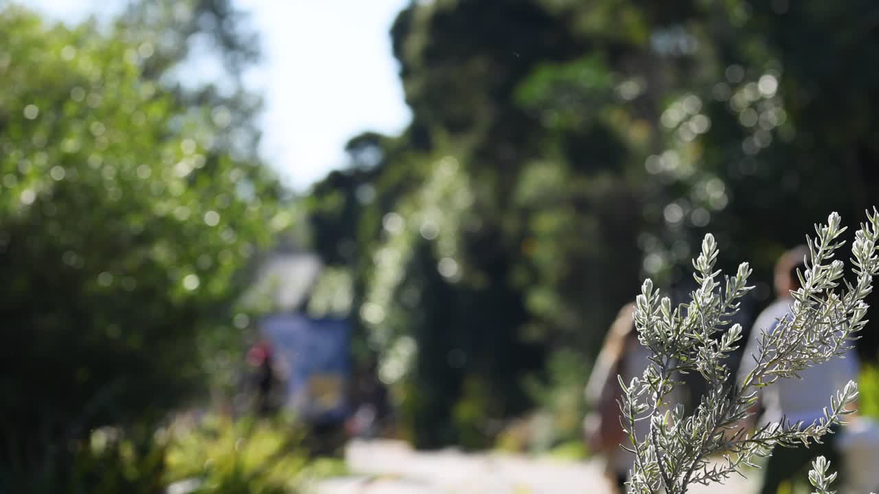 멜버른 동물원 에서 나무 를 심는 사람 들