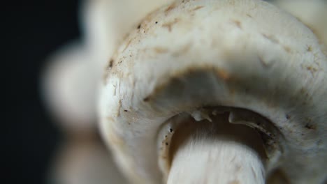 Macro-gorgeous-video-of-a-pile-of-mushrooms,-detailed-RAW-champignons,-white-caps-reflection,-on-a-rotating-stand,-smooth-movement,-slow-motion-120fps