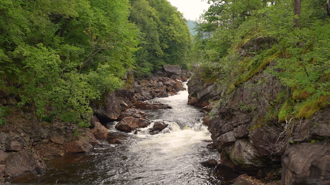 Un fiume sereno scorre dolcemente attraverso una foresta lussureggiante, circondato da rocce e alberi. Lievi increspature creano un'atmosfera pacifica mentre la luce del sole filtra attraverso le foglie