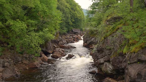 A serene river flows gently through a verdant forest, surrounded by rocks and trees. Soft ripples create a peaceful atmosphere as sunlight filters through the leaves