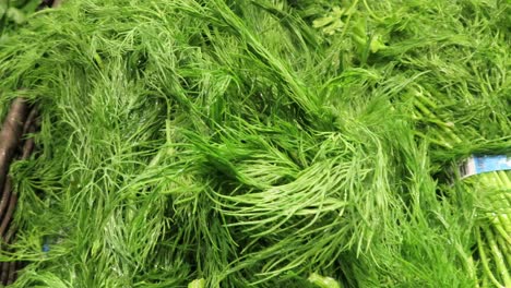 Fresh-Baby-dill-in-grocery-store