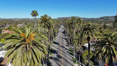 sunny california los angeles with palm trees on the street in beverly hills drone video sunny california los angeles with palm trees on the street in beverly hills drone video