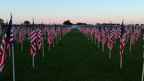 flags-in-a-field-in-Texas