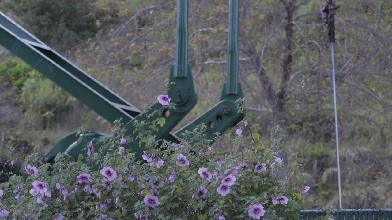 화창한 날의 오일 펌프