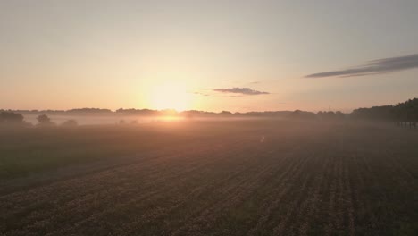 misty sunrise over farmland
