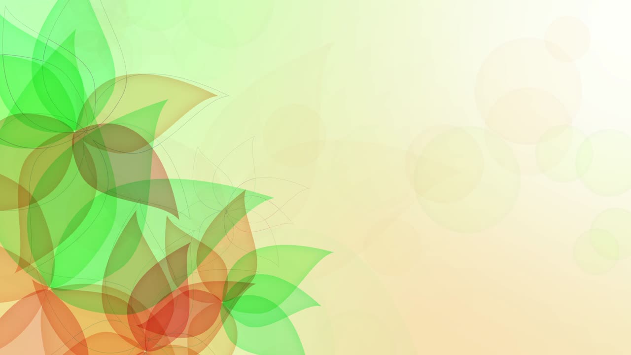 Flower background, loop animation 4K with colorful flowers, motion graphics