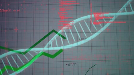 Animación-Del-Procesamiento-De-Datos-Sobre-La-Estructura-Del-ADN-Y-Gráficos-Verdes-Que-Se-Mueven-Sobre-Fondo-Gris