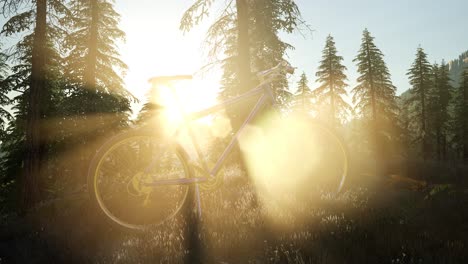 bicycle in mountain forest