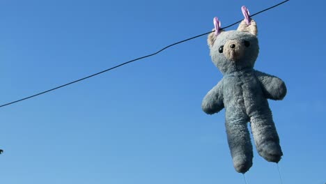 washing and drying the bear video a teddy bear hangs from a clothesline after a washing video