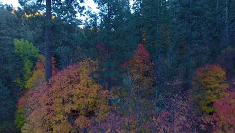 Cinematic-rising-drone-shot-of-Mount-Lemmon-Arizona