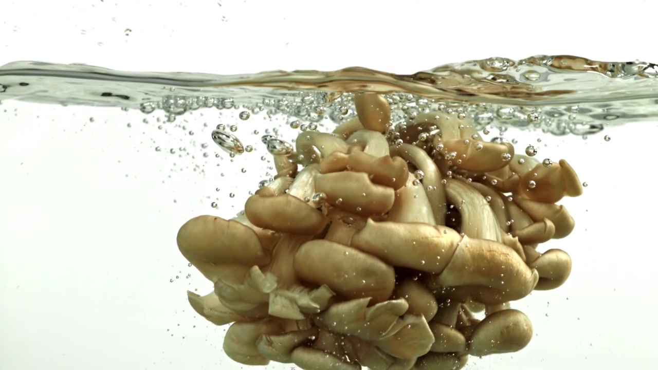 Funghi ostrica freschi sommersi nell'acqua con bolle al rallentatore