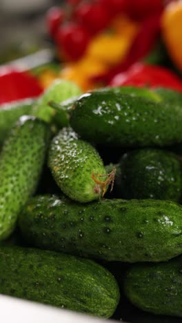 pile of fresh cucumbers