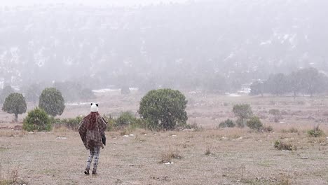 girl walking during a snowfall in nature