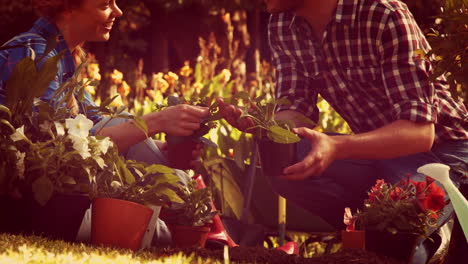 Glückliches-Paar-Bei-Der-Gartenarbeit-Im-Park