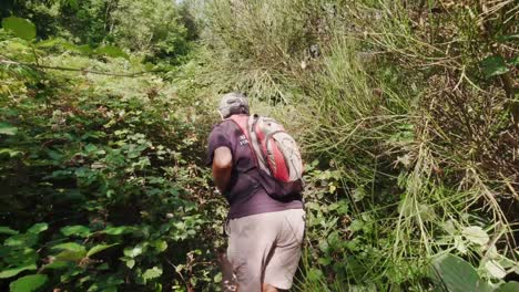 follow shot hiking through the undergrowth along the trails of river riells