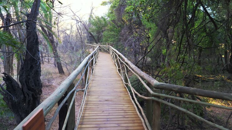 Wooden Boardwalk Inside The Safari Lodge By The Forest In Okavango Delta In Botswana