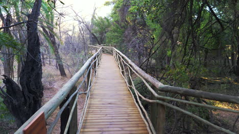 Paseo-Marítimo-De-Madera-Dentro-Del-Safari-Lodge-Junto-Al-Bosque-En-El-Delta-Del-Okavango-En-Botswana