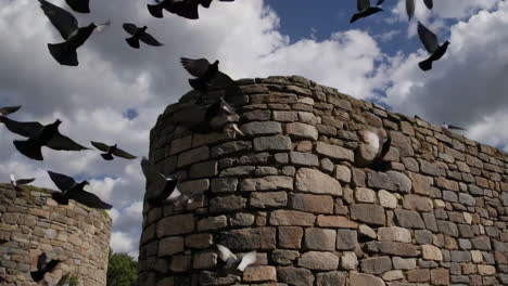 flock of pigeons flying around an ancient stone wall under a cloudy sky