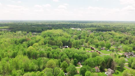 aerial view of forested suburban neighborhood