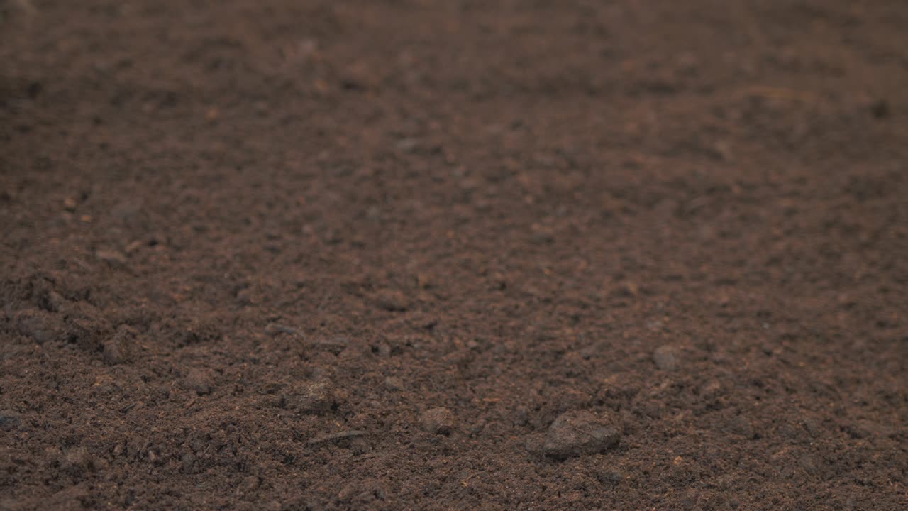 rastrillar el suelo compostado fértil de cerca