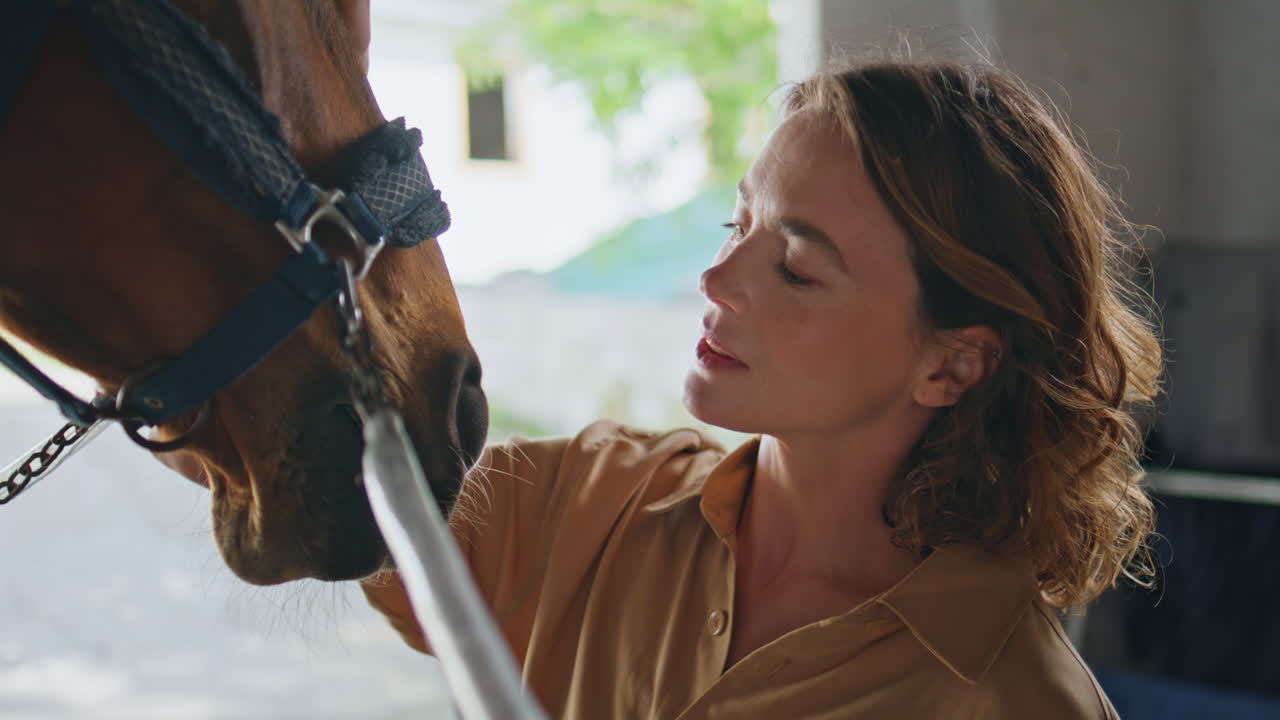 Tender equestrienne stroking stallion at barn closeup. Woman touching animal
