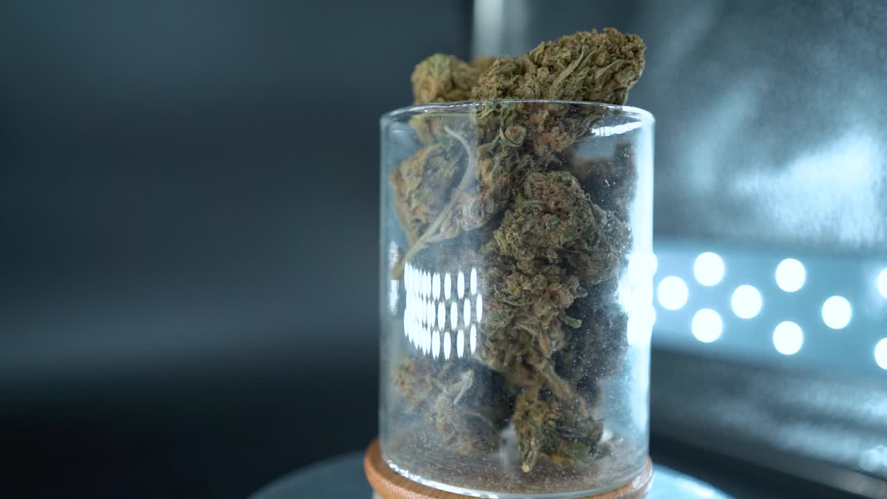 A close up detailed shot of a cannabis plant, marijuana flower, hybrid strains, Indica and sativa, on a 360 rotating stand in a shiny glass, 120 fps slow motion Full HD, cinematic studio lighting