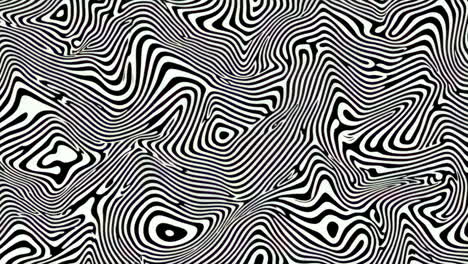 abstract black and white wavy lines pattern