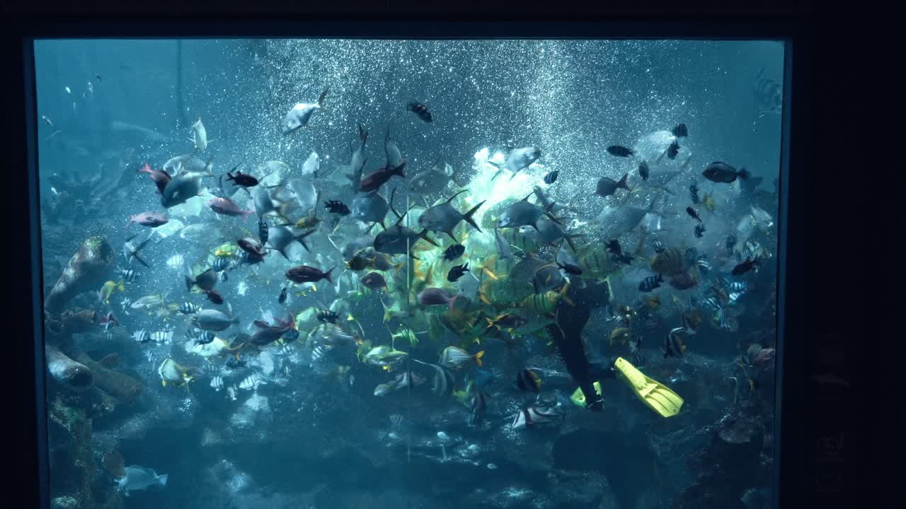 영국 체스터 동물원에서 동굴 다이빙을 탐험하는 동굴 다이빙 수중 스쿠버 다이버